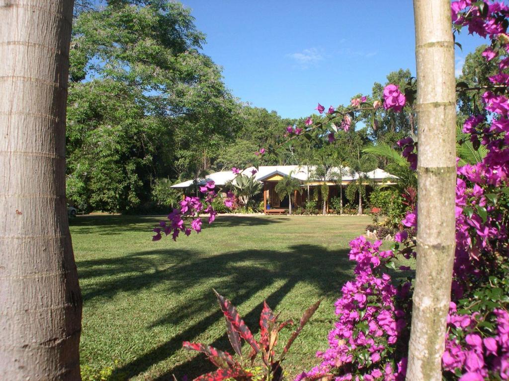 Hibiscus Lodge Bed & Breakfast Wongaling Beach Екстериор снимка